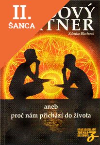 Lacná kniha Osudový partner