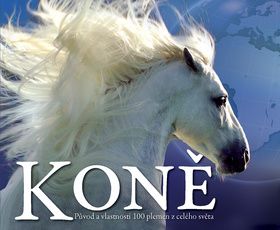 Koně