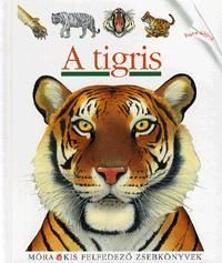 A tigris