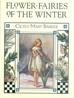 Flower Fairies of The Winter