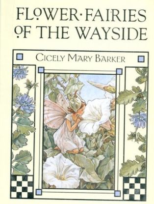 Flower Fairies of the Wayside
