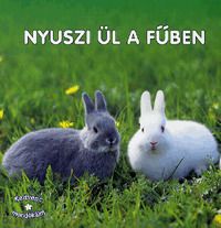 Nyuszi ül a fűben