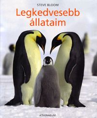Legkedvesebb állataim