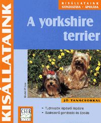 A yorkshire terrier