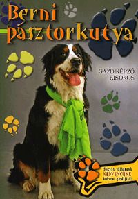 Berni pásztorkutya