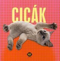 Cicák