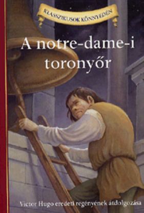 A notre-dame-i toronyőr