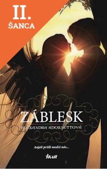 Lacná kniha Záblesk