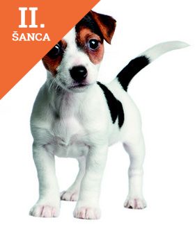 Lacná kniha Pamätníček - šteniatko