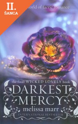 Lacná kniha Darkest Mercy