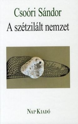 A szétzilált nemzet