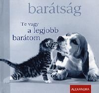 Barátság - Te vagy a legjobb barátom