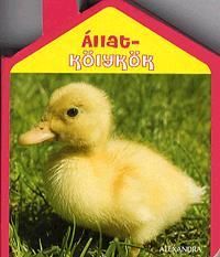 Állatkölykök