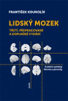 Lidský mozek