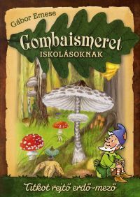 Gombaismeret iskolásoknak