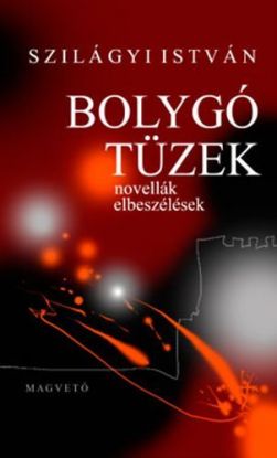 Bolygó tüzek