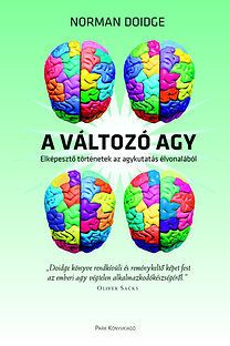 A változó agy
