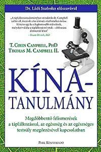 Kína-tanulmány