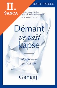 Lacná kniha Démant ve vaší kapse