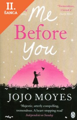 Lacná kniha Me Before You
