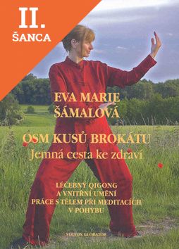 Lacná kniha Osm kusů brokátu