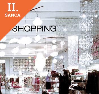 Lacná kniha Shopping