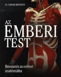 Az emberi test