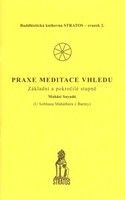 Praxe meditace vhledu