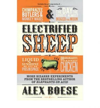 Electrified Sheep