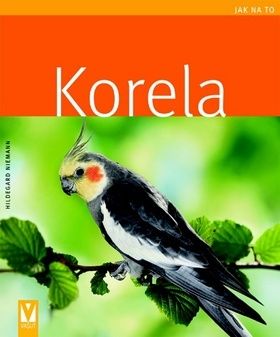 Korela