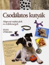 Csodálatos kutyák