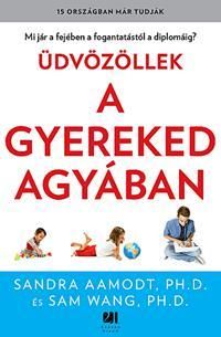 Üdvözöllek a gyereked agyában