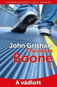 Theodore Boone 3.: A vádlott
