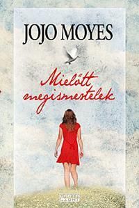 Mielőtt megismertelek