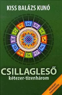 Csillagleső 2013