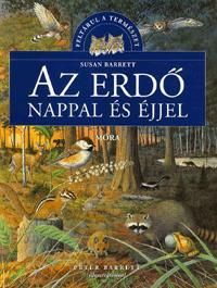 Az erdő nappal és éjjel