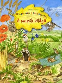 A mezők világa