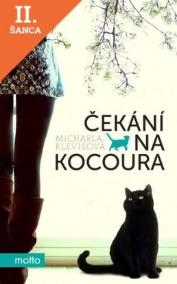 Lacná kniha Čekání na kocoura