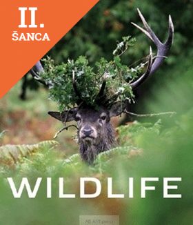 Lacná kniha Wildlife