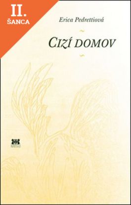 Lacná kniha Cizí domov