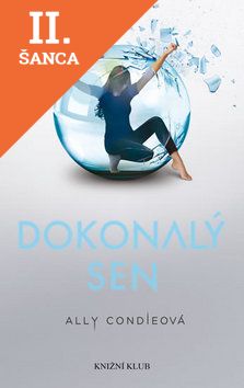 Lacná kniha Dokonalý sen