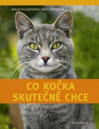 Co kočka skutečně chce