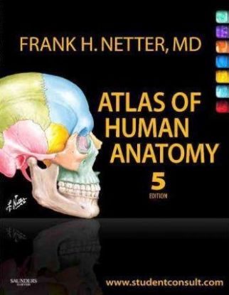 Atlas of Human Anatomy