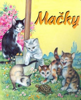 Mačky