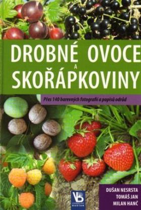 Drobné ovoce a skořápkoviny