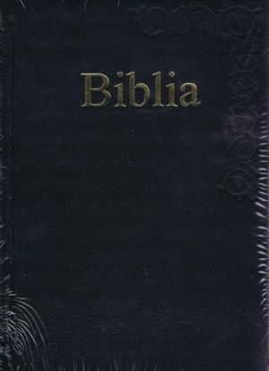 Biblia s rytinami v koži