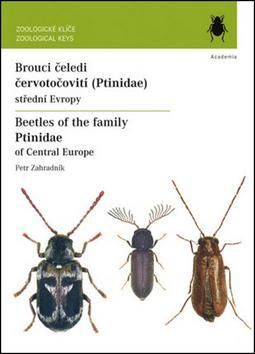 Brouci čeledi červotočovití Ptinidae