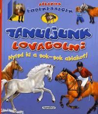 Ablakos érdekességek: Tanuljunk lovagolni