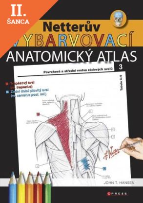 Lacná kniha Netterův vybarvovací anatomický atlas