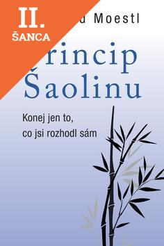 Lacná kniha Princip šaolinu